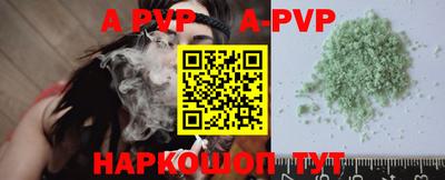 спайс Кингисепп